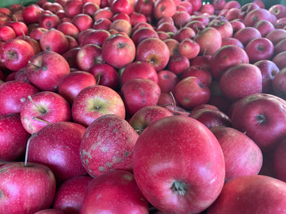 Rote Äpfel